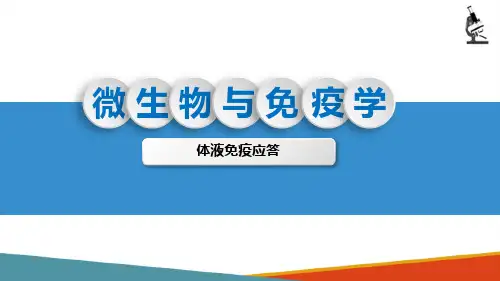 免疫应答—体液免疫应答(微生物与免疫学课件)