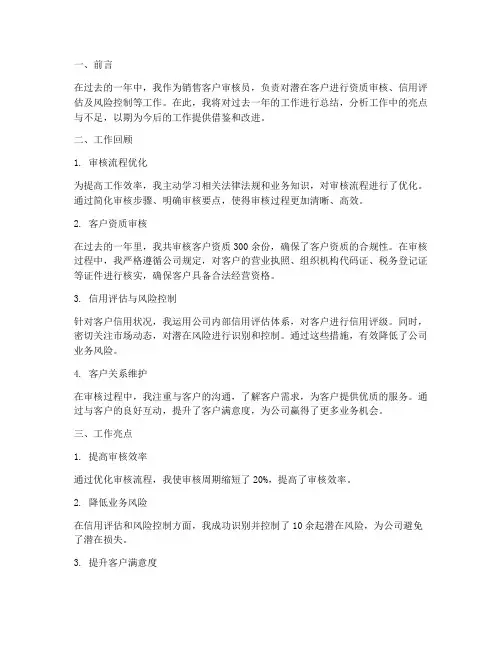 销售客户审核工作总结报告