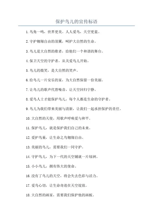 保护鸟儿的宣传标语