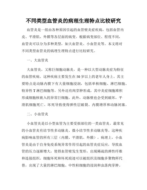 不同类型血管炎的病理生理特点比较研究