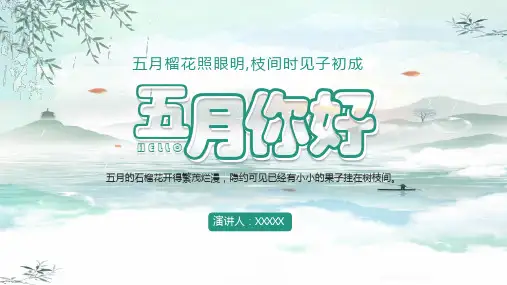 简约清新你好五月策划PPT模板