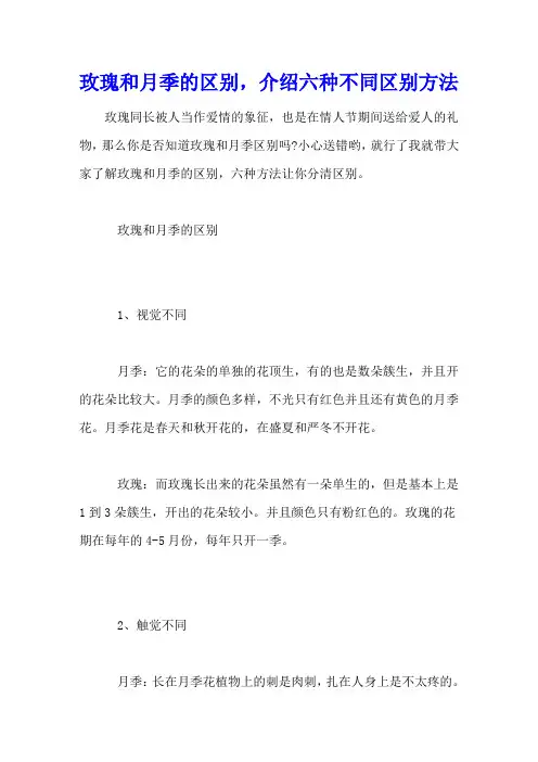 玫瑰和月季的区别,介绍六种不同区别方法