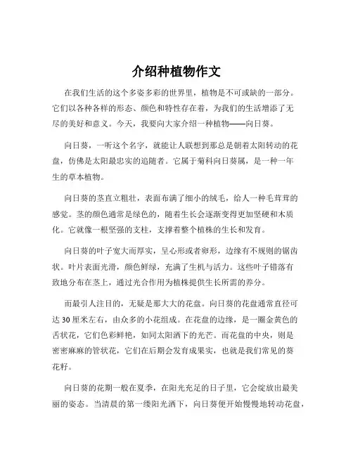 介绍种植物作文