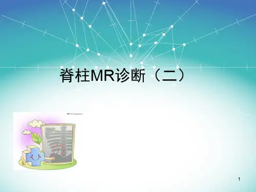 脊柱MR诊断2