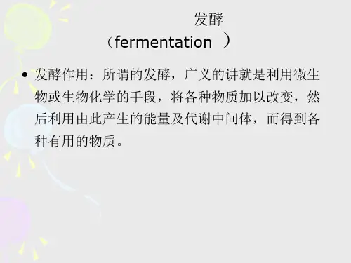 厌氧性发酵