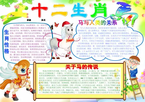 十二生肖马小学生电子小报成品_简报报刊手抄报模板_画报剪报板报样板_电脑报纸示范样例_属相动物A4