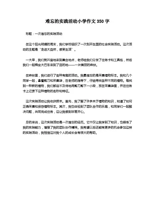 难忘的实践活动小学作文350字