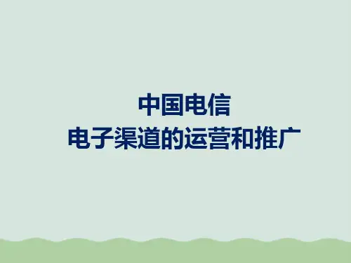 电信在电子渠道的运营和推广课件PPT(共29页)