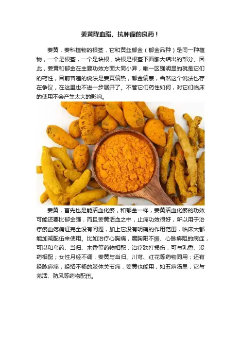 姜黄降血脂、抗肿瘤的良药！