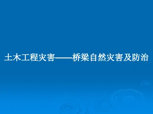 土木工程灾害——桥梁自然灾害及防治PPT教案