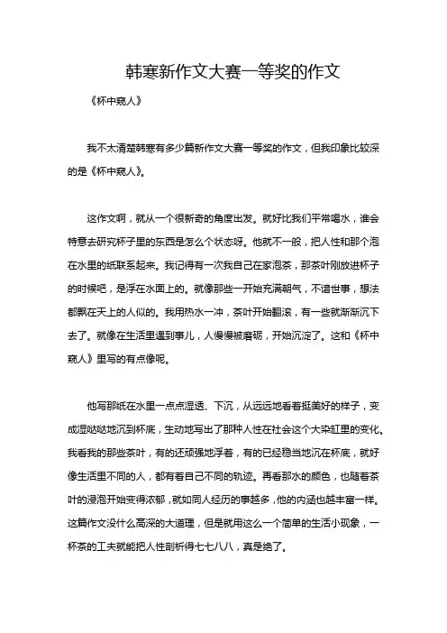 韩寒新作文大赛一等奖的作文