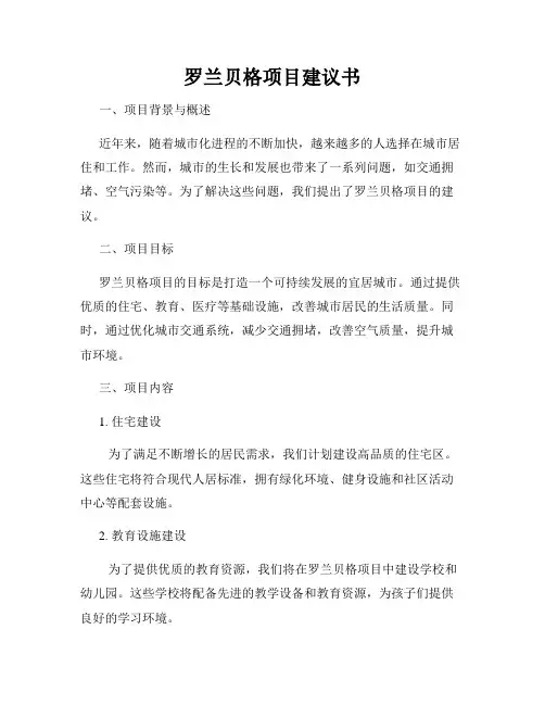 罗兰贝格项目建议书