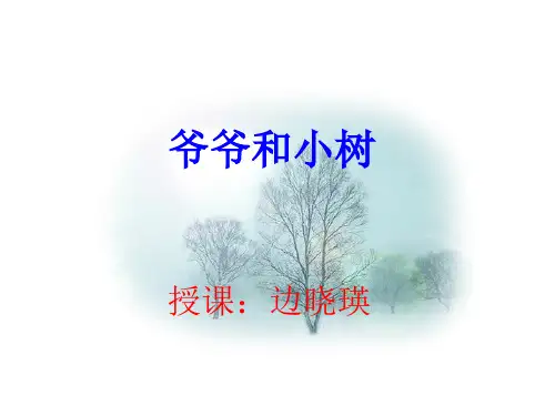爷爷和小树PPT课件