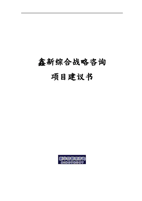 某鑫新综合战略项目实施建议书新华信0716