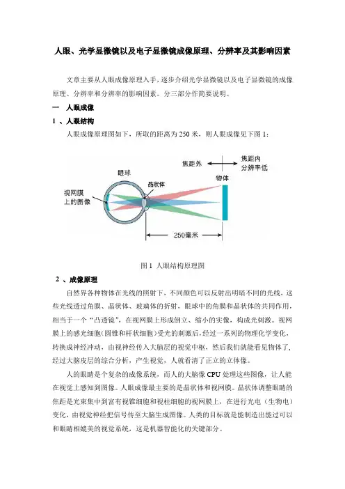 人眼、光学显微镜以及电子显微镜成像原理、分辨率及其影响因素