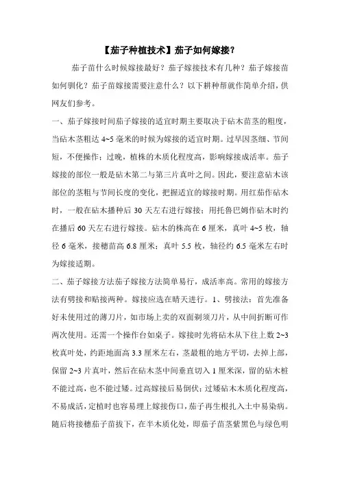 【茄子种植技术】茄子如何嫁接？