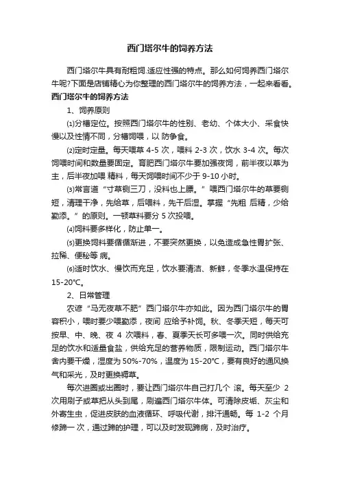 西门塔尔牛的饲养方法