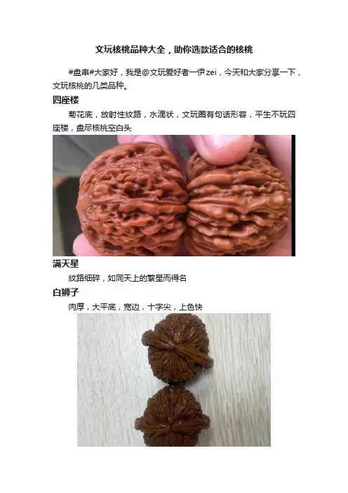 文玩核桃品种大全，助你选款适合的核桃