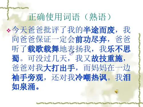 正确使用成语(熟语)
