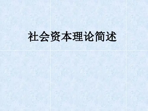 社会资本理论简述