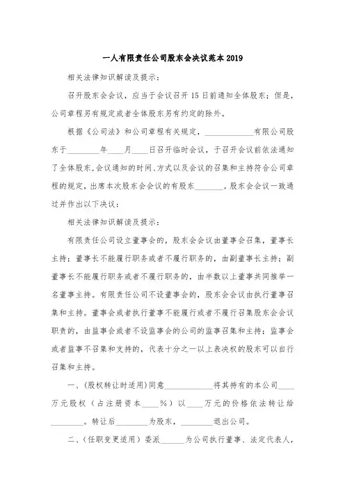 一人有限责任公司股东会决议范本2019.doc