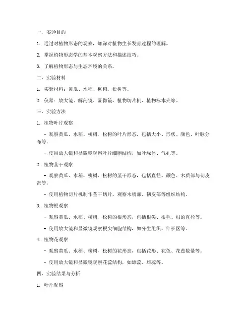 植物形态观察实验报告