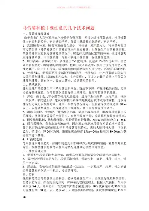 马铃薯种植中要注意的几个技术问题