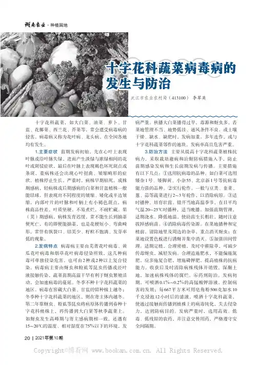十字花科蔬菜病毒病的发生与防治