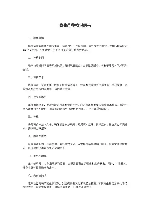 葡萄苗种植说明书