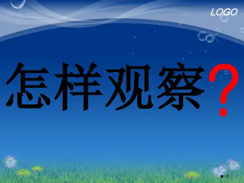 三年级作文——观察桔子市公开课一等奖省赛课获奖PPT课件