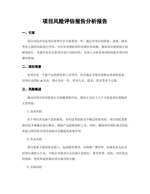 项目风险评估报告分析报告