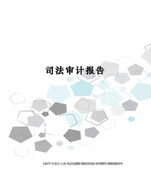 司法审计报告精修订