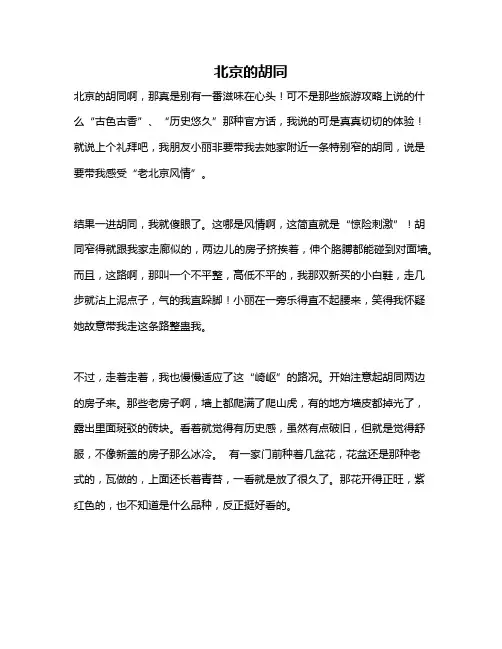 作文《北京的胡同》
