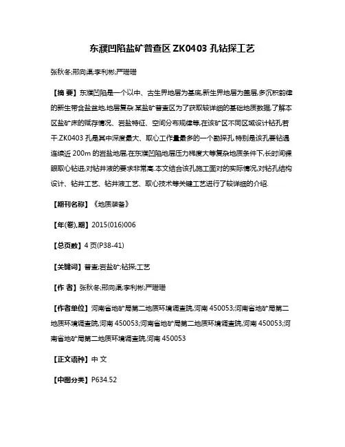 东濮凹陷盐矿普查区ZK0403孔钻探工艺