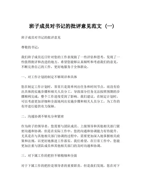 班子成员对书记的批评意见范文 (一)