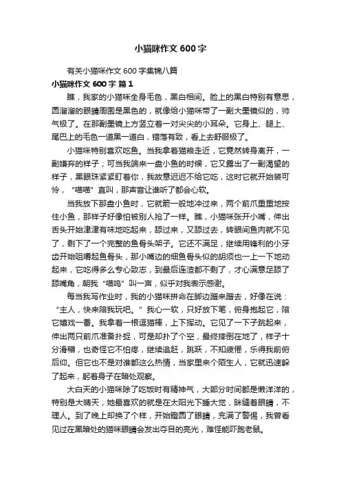 有关小猫咪作文600字集锦八篇