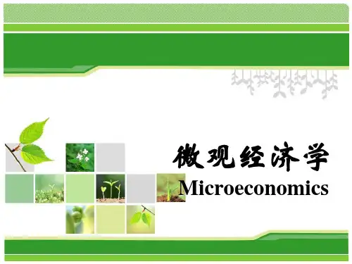 4 生产函数