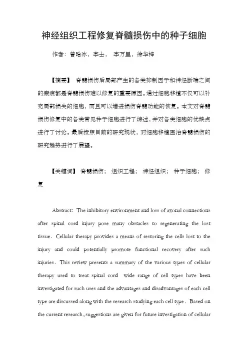 神经组织工程修复脊髓损伤中的种子细胞