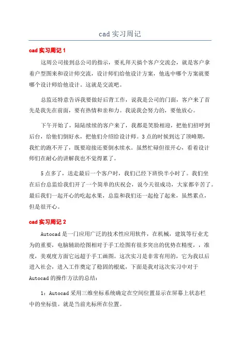 cad实习周记