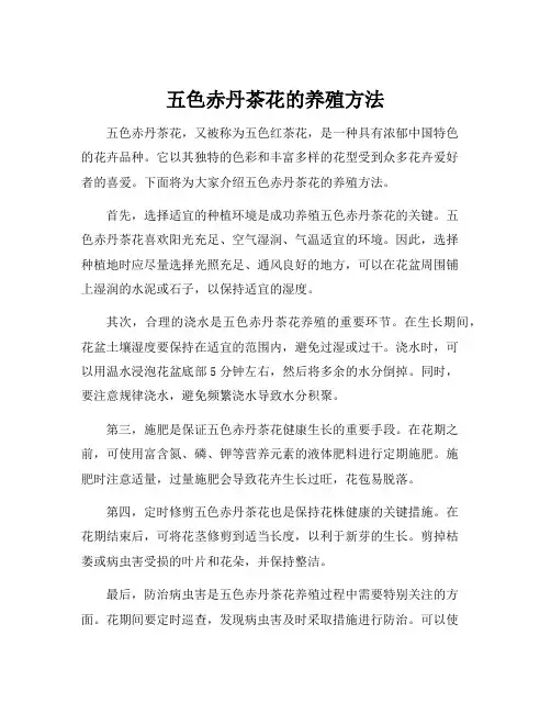 五色赤丹茶花的养殖方法