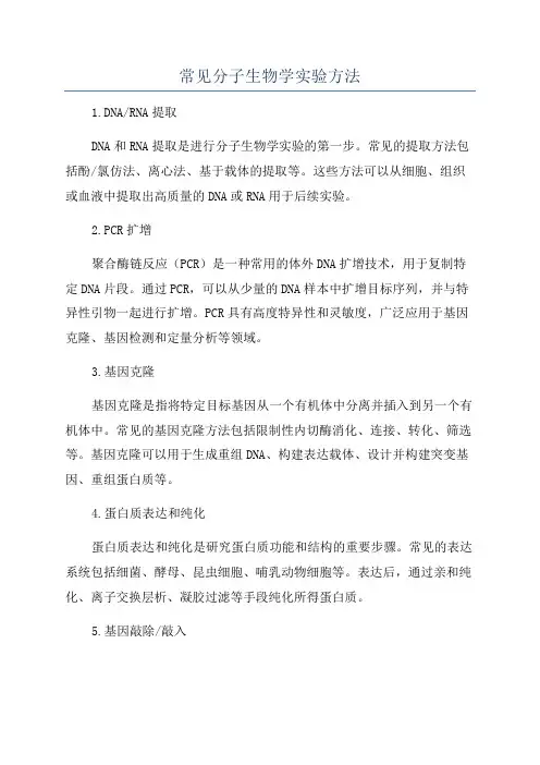 常见分子生物学实验方法