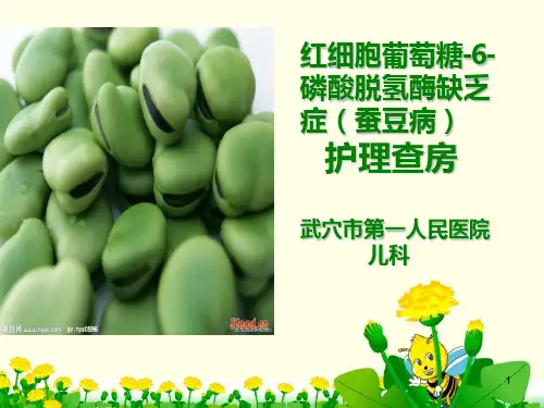 蚕豆病PPT课件