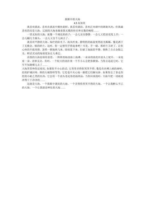 我眼中的大海