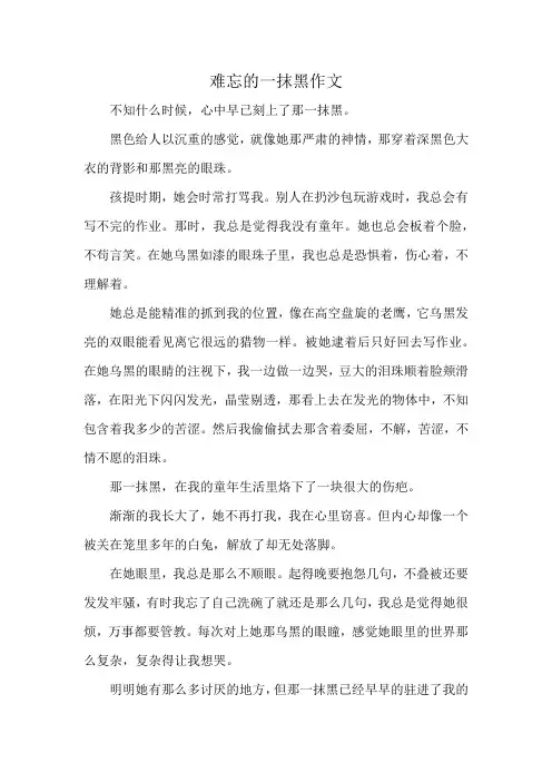 难忘的一抹黑作文