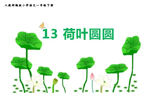 一年级下册13《荷叶圆圆》人教部编版实用PPT(共26张PPT)