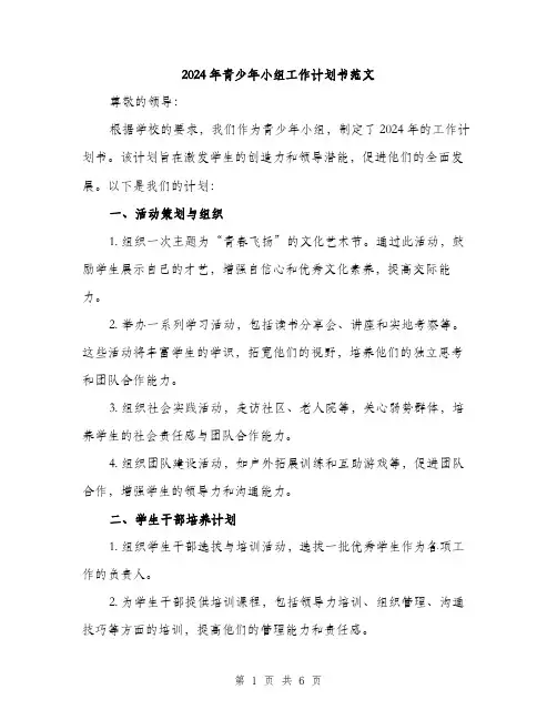 2024年青少年小组工作计划书范文(2篇)