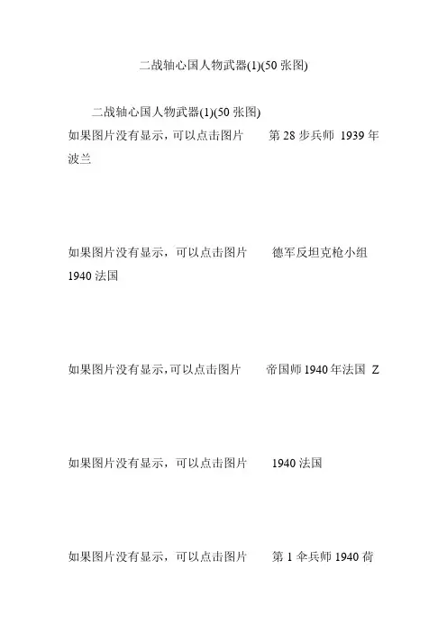 二战轴心国人物武器(50张图)