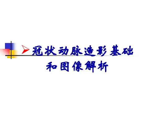 冠状动脉造影基础和图像解析