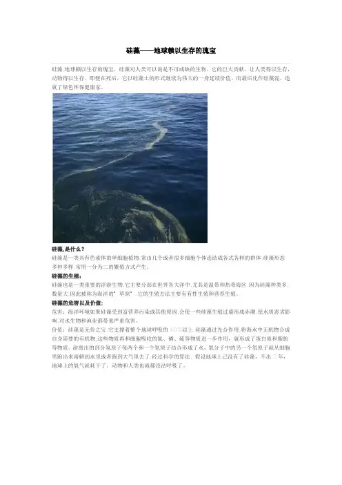 硅藻——地球赖以生存的瑰宝