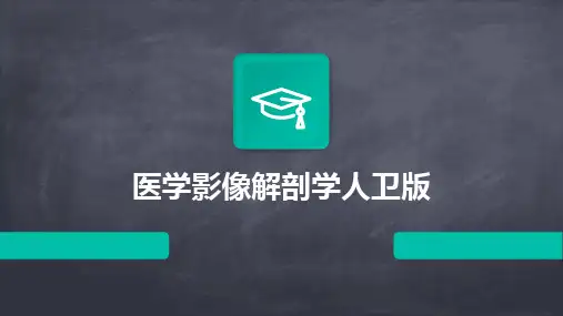 医学影像解剖学人卫版